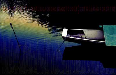 Ausstellungsansicht Galerie Michael Sturm