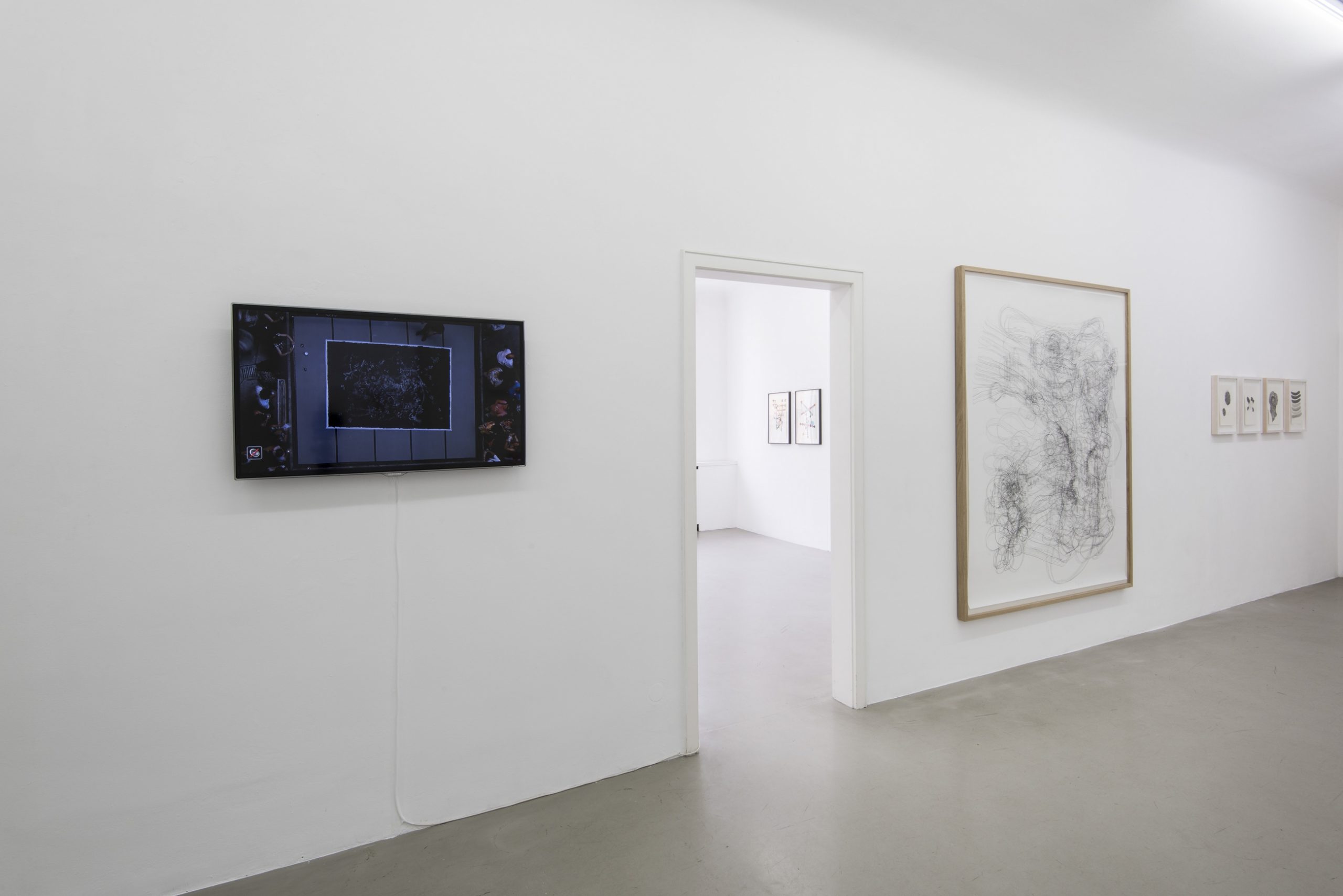 Ausstellungsansicht Galerie Michael Sturm